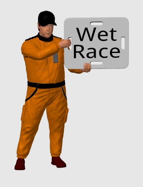 Streckenposten Ferdi -Wet Race- 1:32
